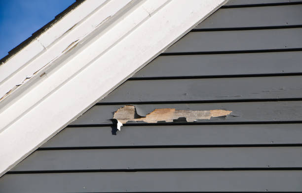 Best Custom Trim and Detailing for Siding  in Coatesville, PA